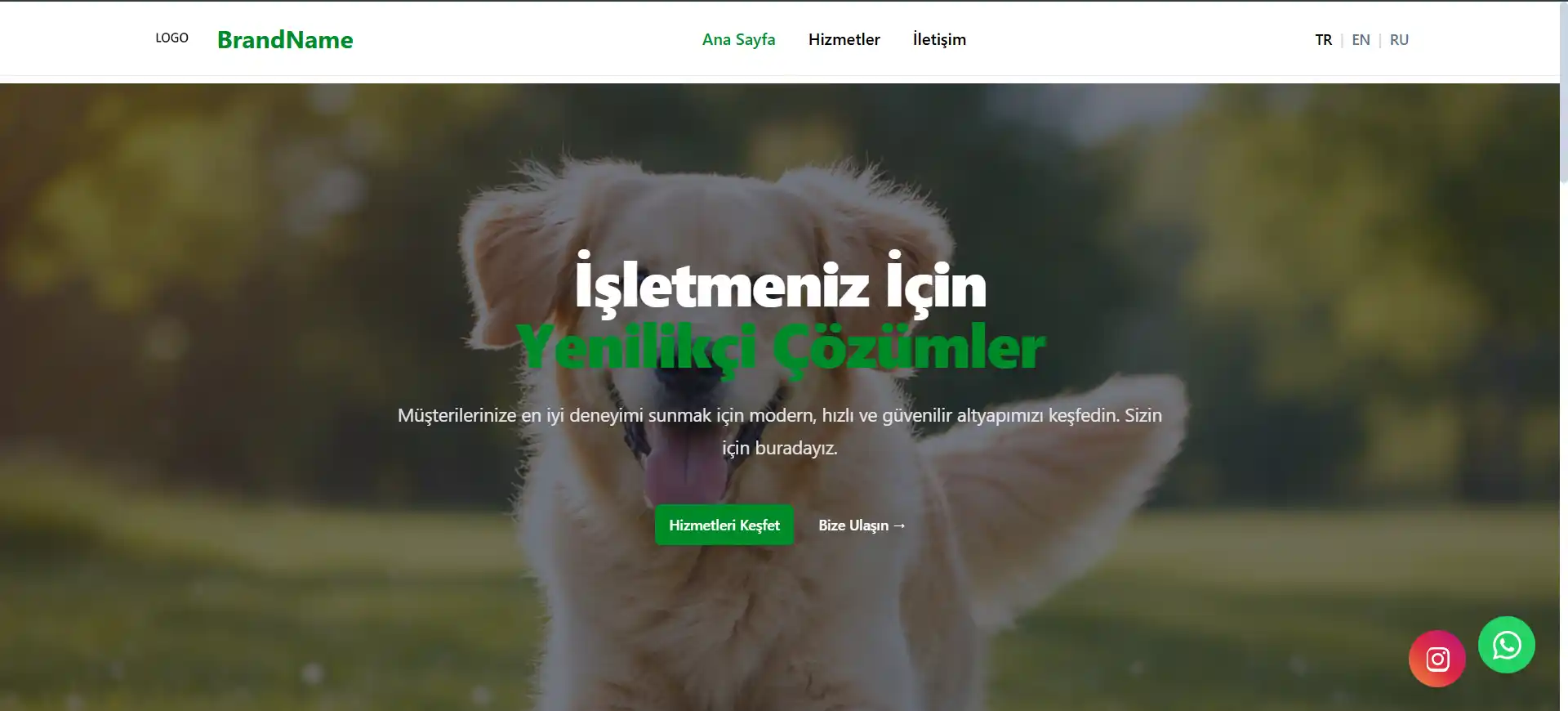 BaseWeb — Corporate Website Template