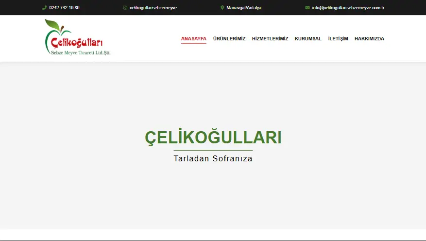 Çelikoğulları Sebze&Meyve Ltd.Şti
